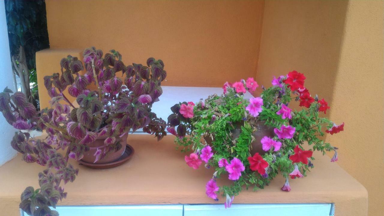 Case Vacanze Villa Lory Malfa  Bagian luar foto